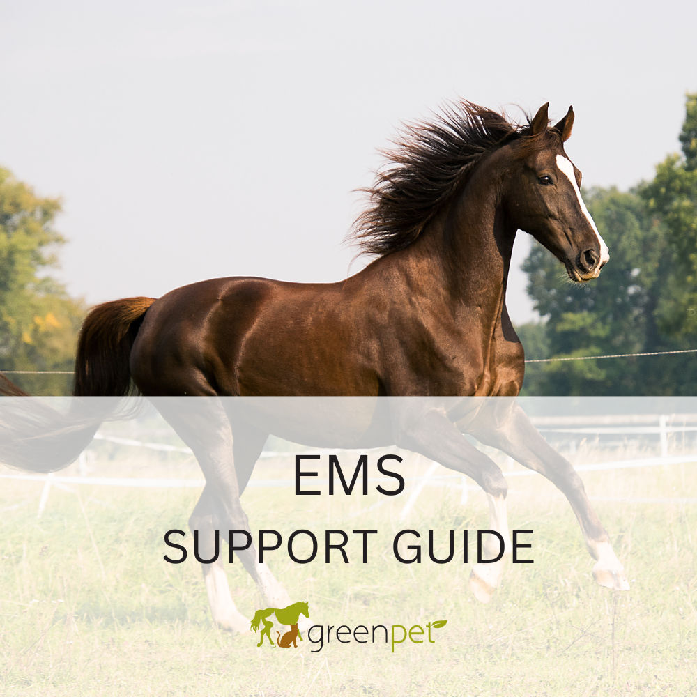 EMS Diet & Support Guide