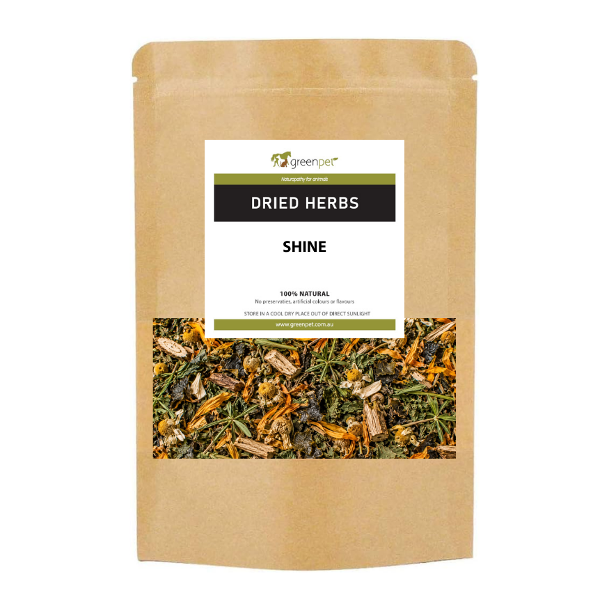 Herbal Equine SHINE