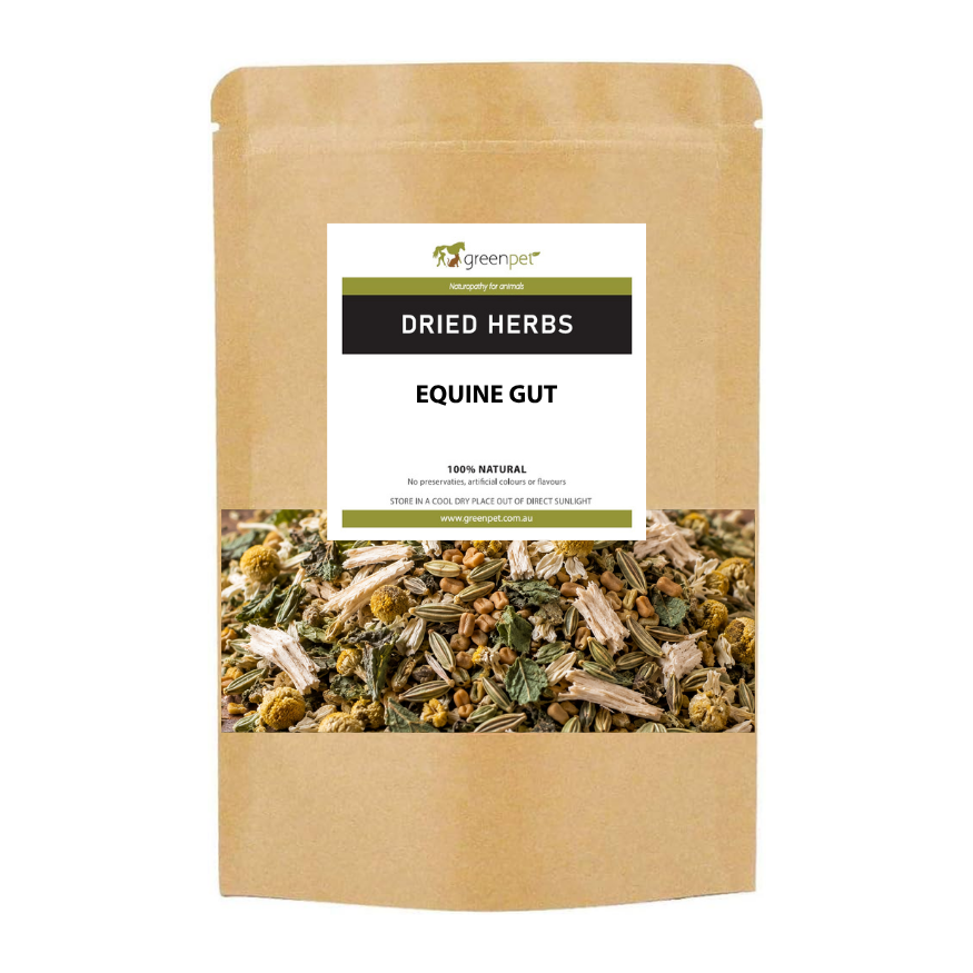 Herbal Equine GUT