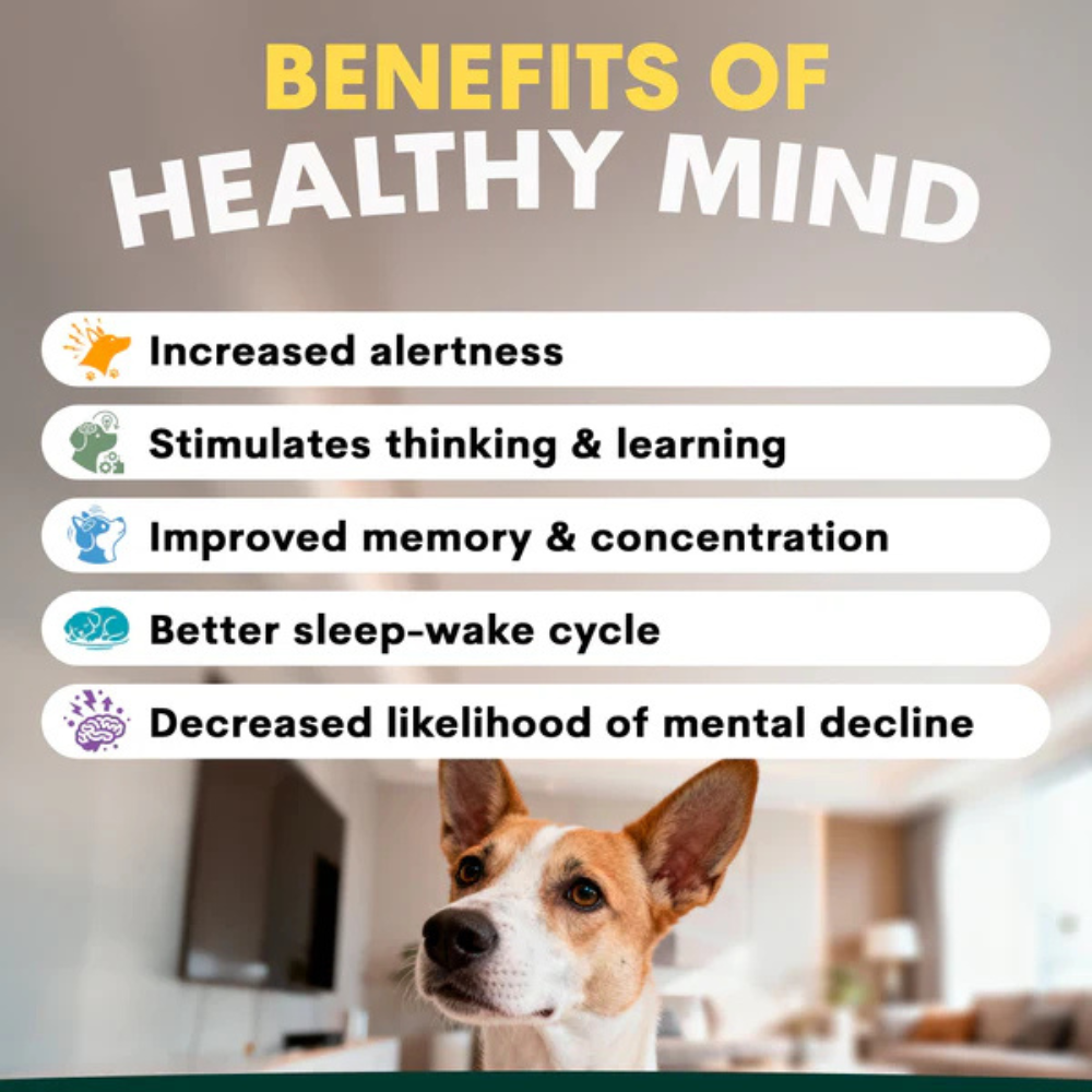 Petz Park Brain Support for Dogs