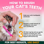 Petz Park Cat Toothpaste