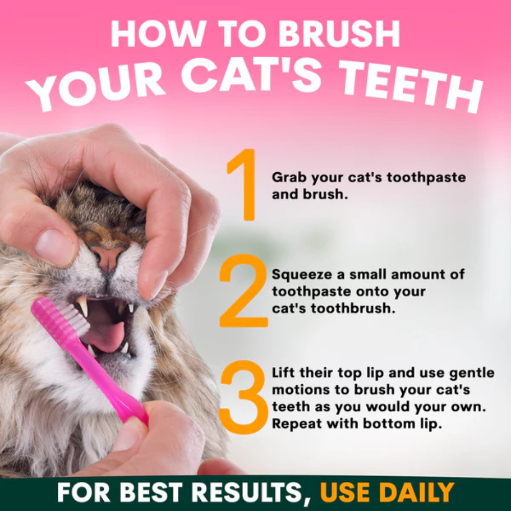 Petz Park Cat Toothpaste