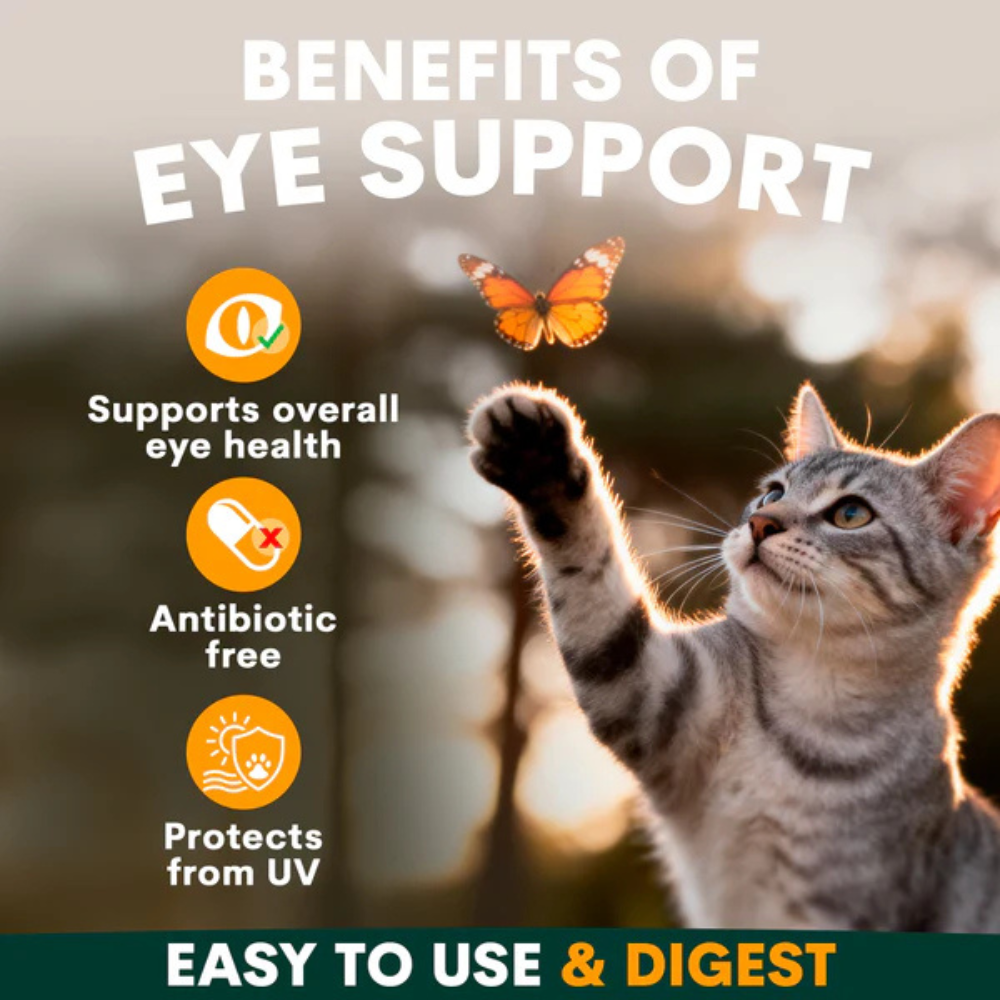 Petz Park Eye Support for Cats