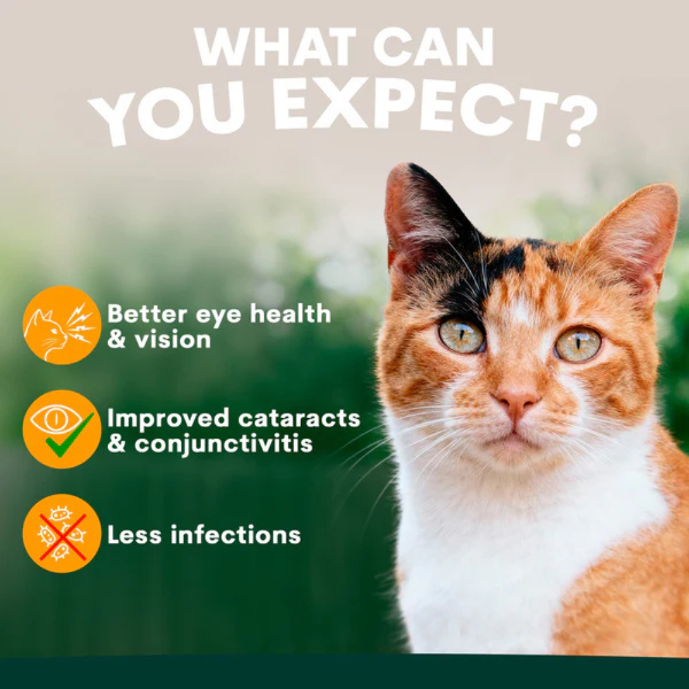 Petz Park Eye Support for Cats