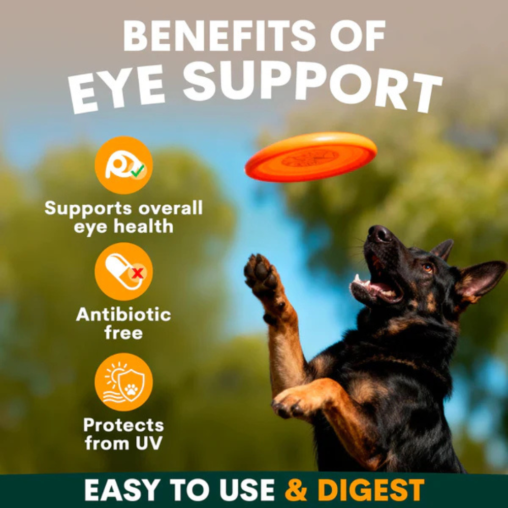 Petz Park Eye Support for Dogs