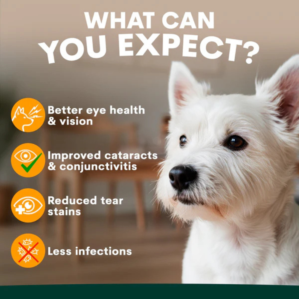 Petz Park Eye Support for Dogs
