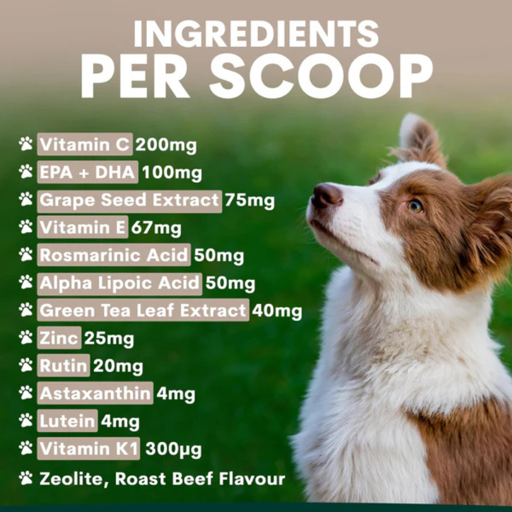 Petz Park Eye Support for Dogs