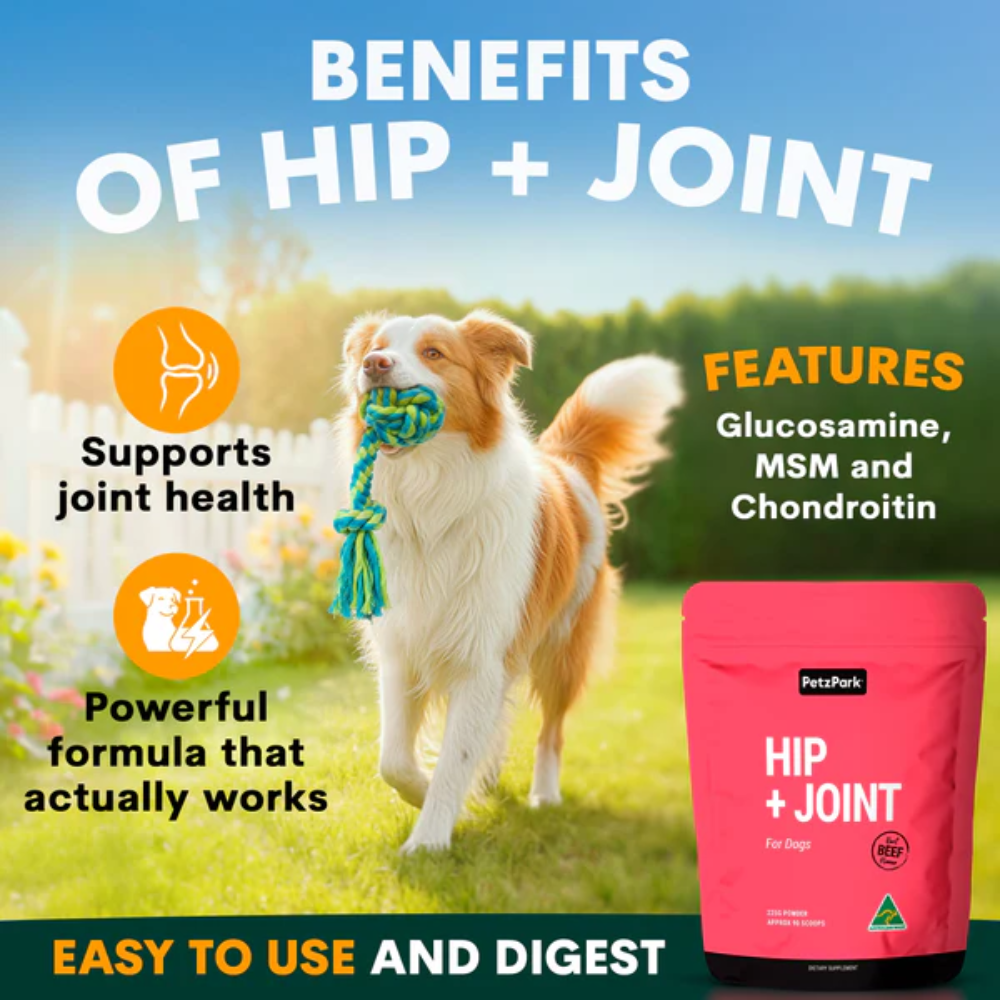 Petz Park Hip & Joint