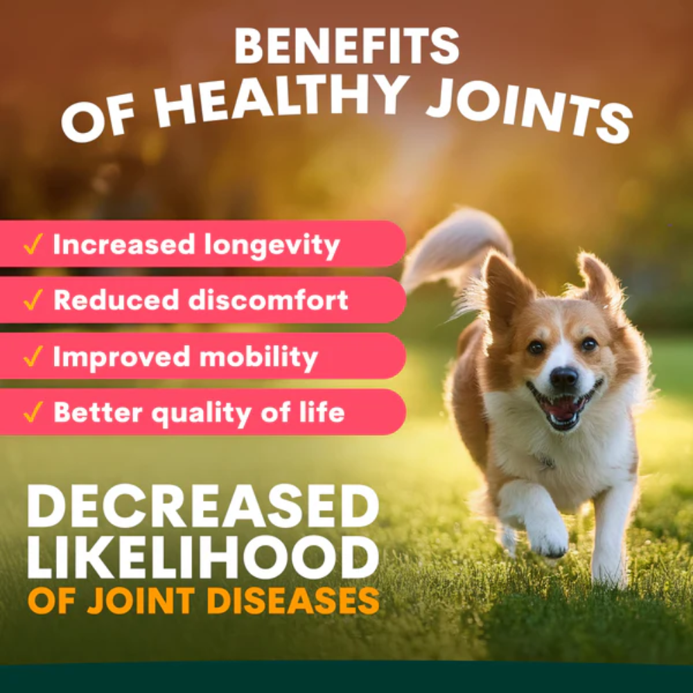 Petz Park Hip & Joint