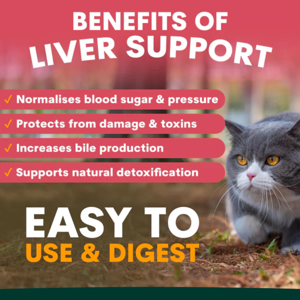 Petz Park Liver Support for Cats