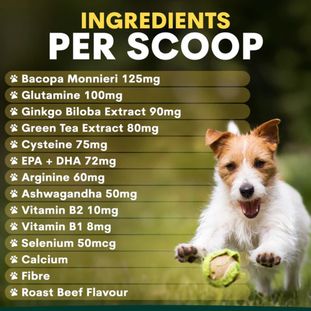 Petz Park Brain Support for Dogs