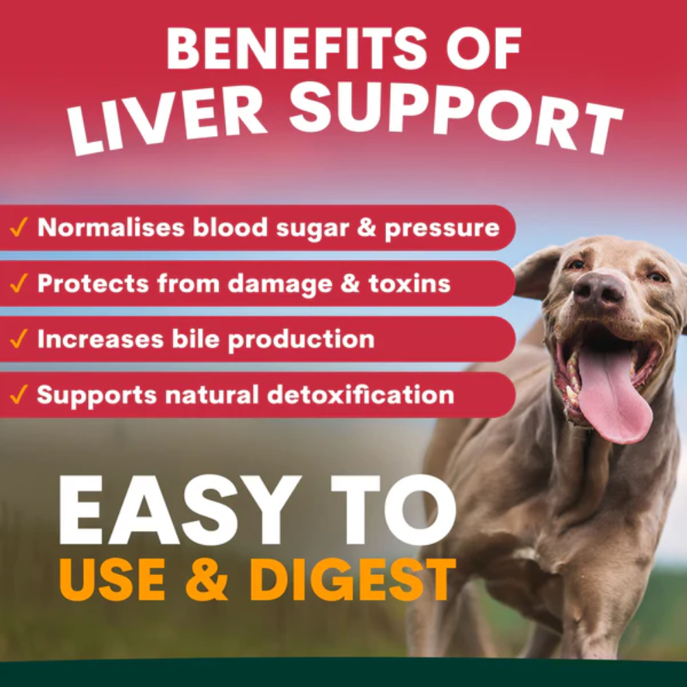 Petz Park Liver Support for Dogs