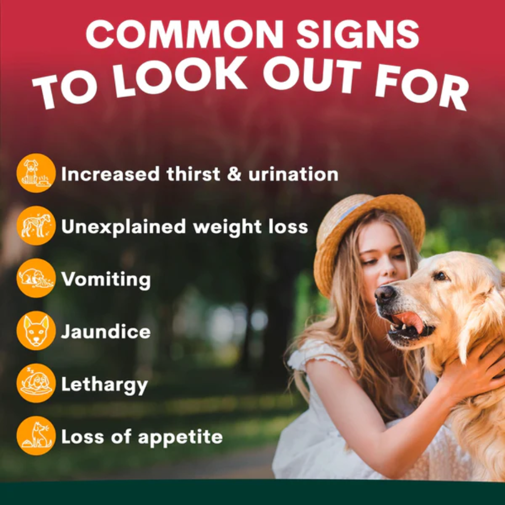 Petz Park Liver Support for Dogs