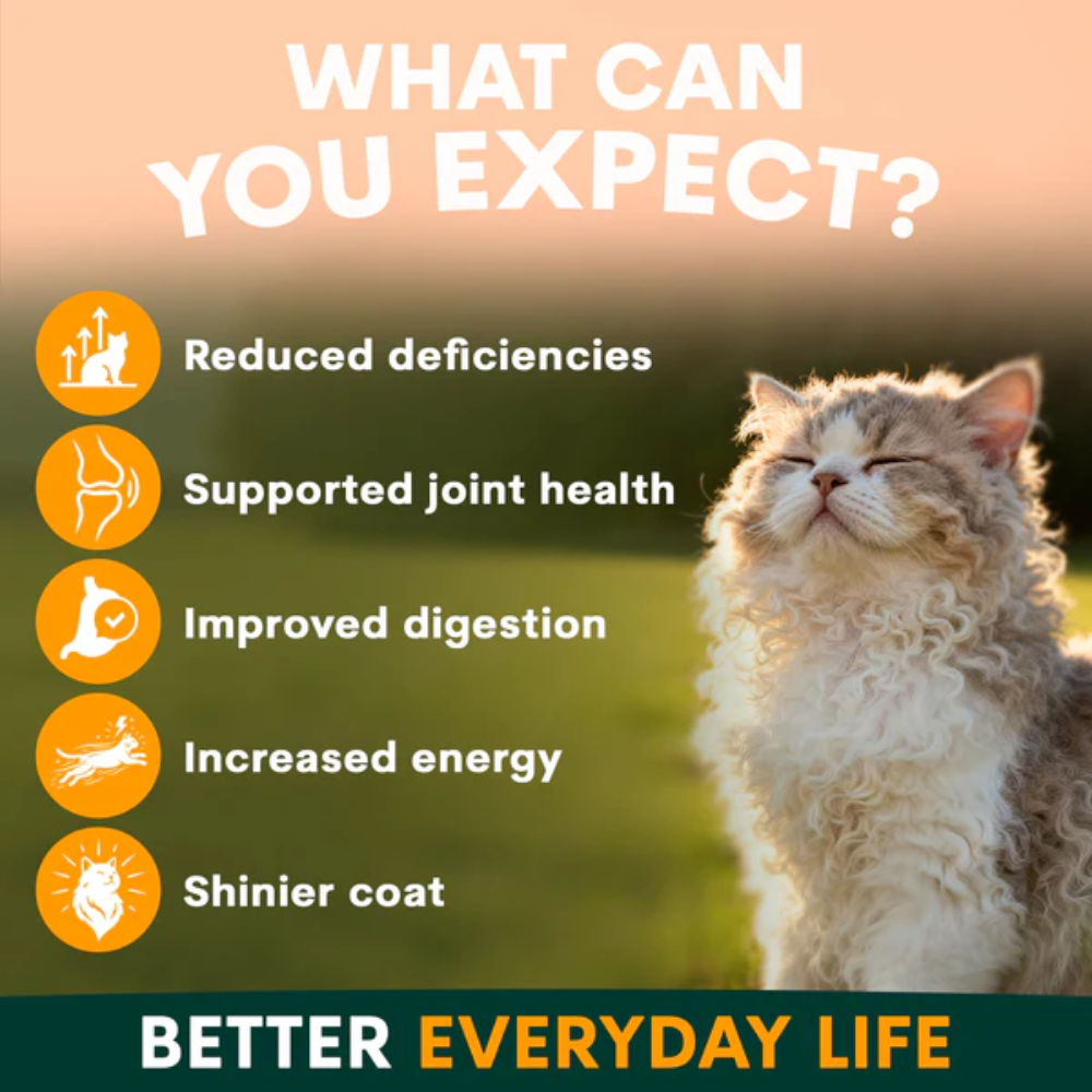 Petz Park Multivitamin for Cats