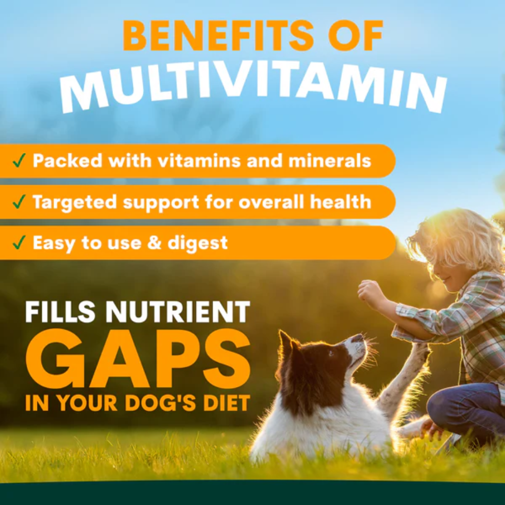 Petz Park Multivitamin for Dogs