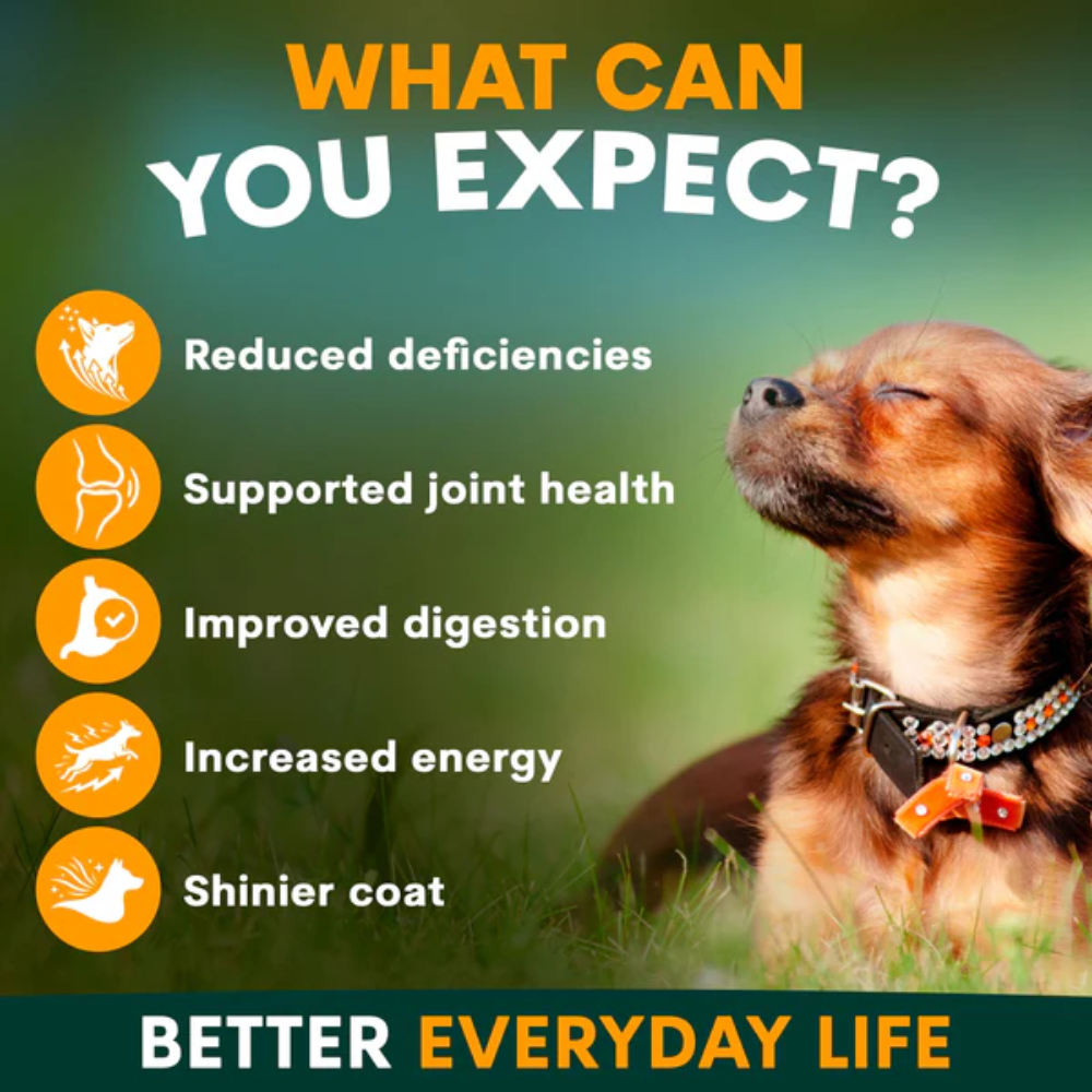 Petz Park Multivitamin for Dogs