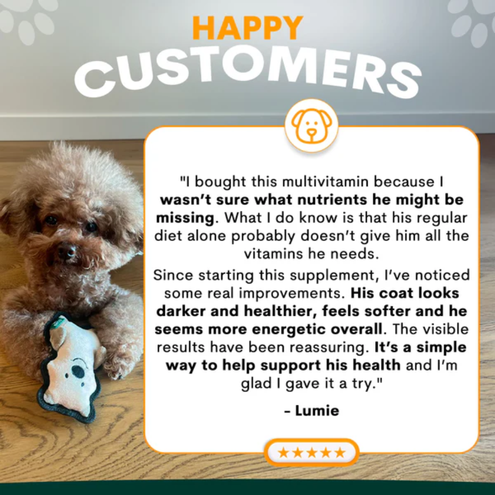 Petz Park Multivitamin for Dogs