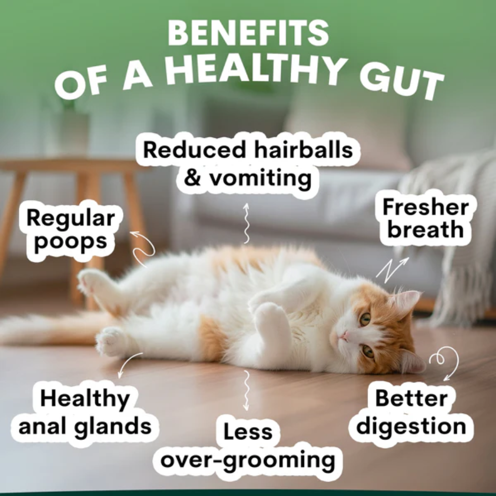 Petz Park Probiotic for Cats