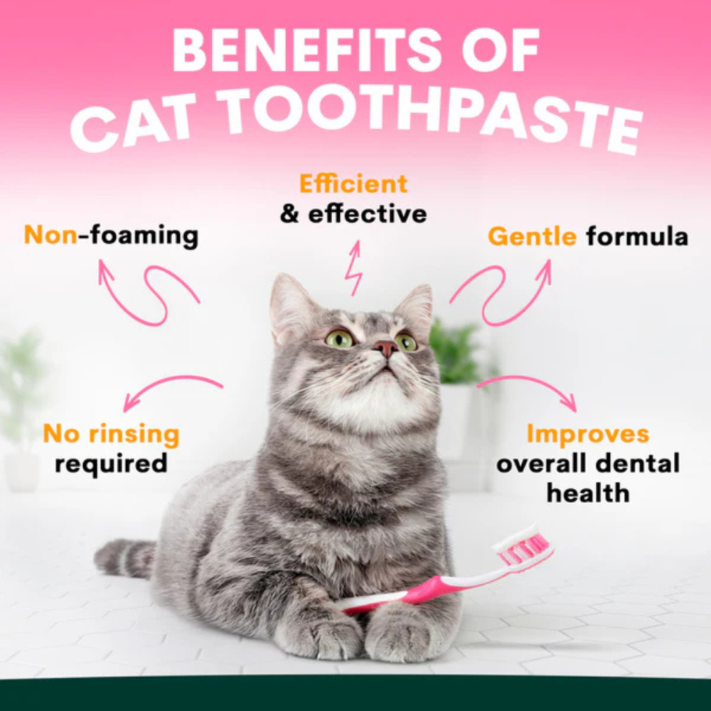 Petz Park Cat Toothpaste
