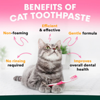 Petz Park Cat Toothpaste