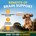 Petz Park Brain Support for Dogs