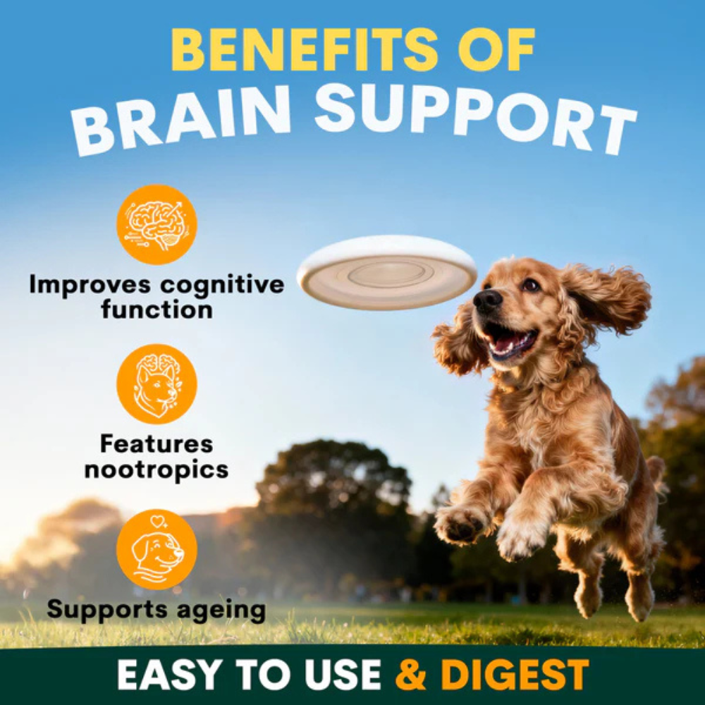 Petz Park Brain Support for Dogs