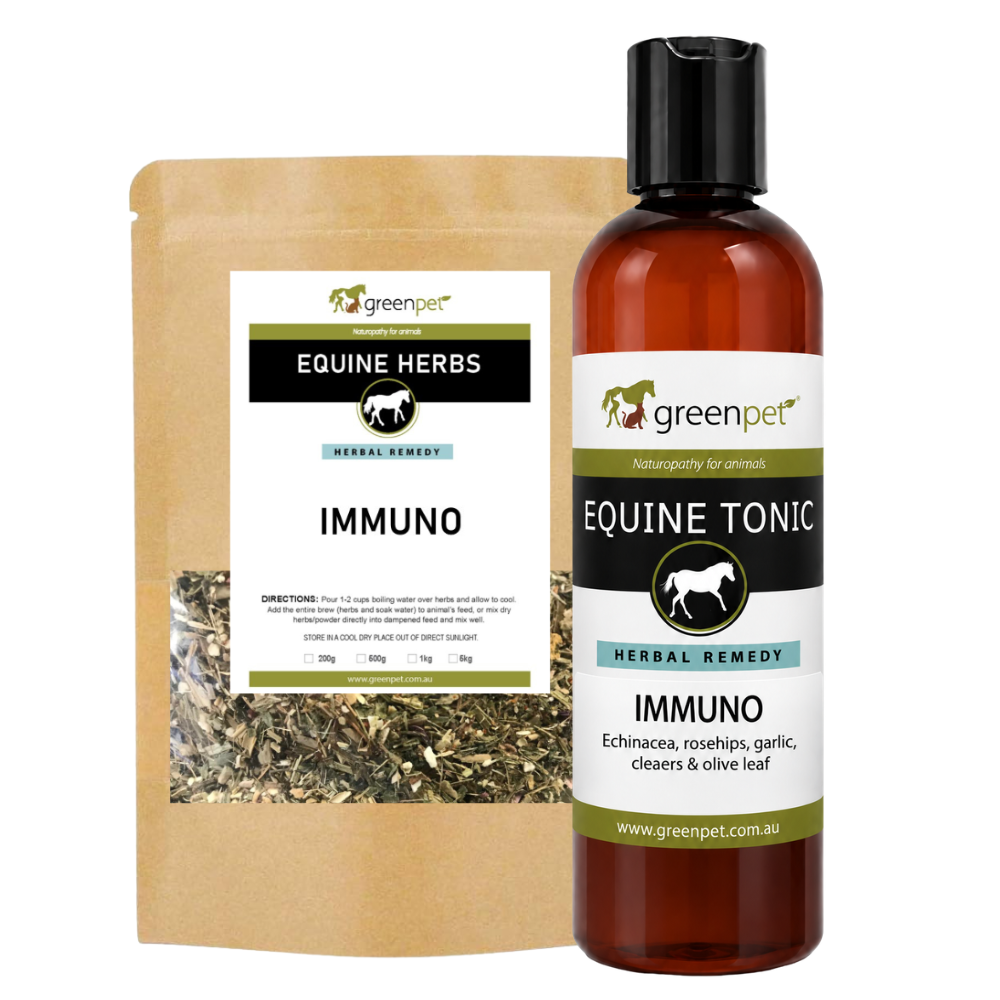 Herbal Equine IMMUNO