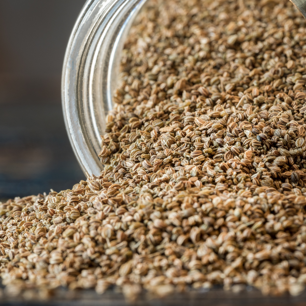 Celery Seeds