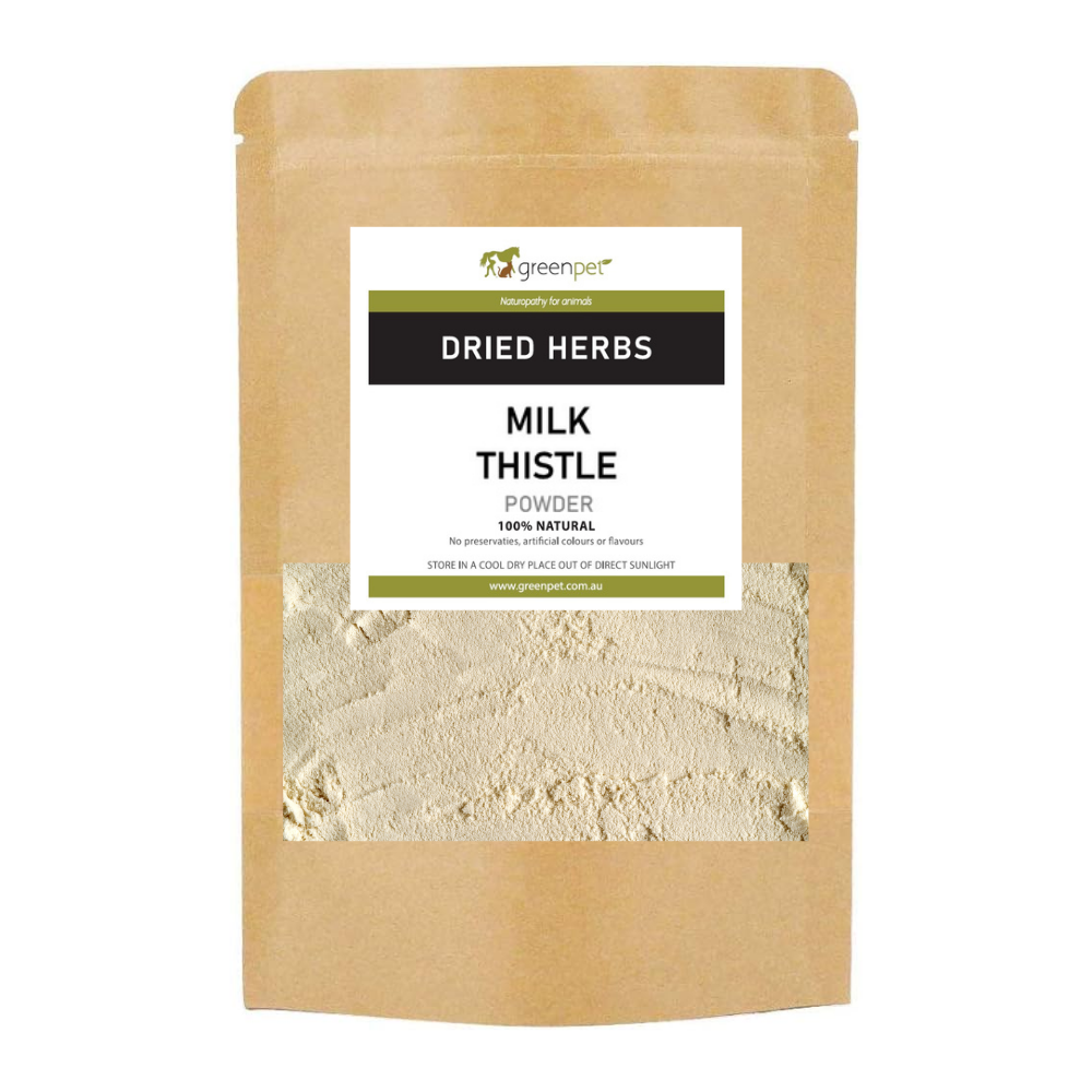 Milk Thistle (St Mary's Thistle) Seed Powder