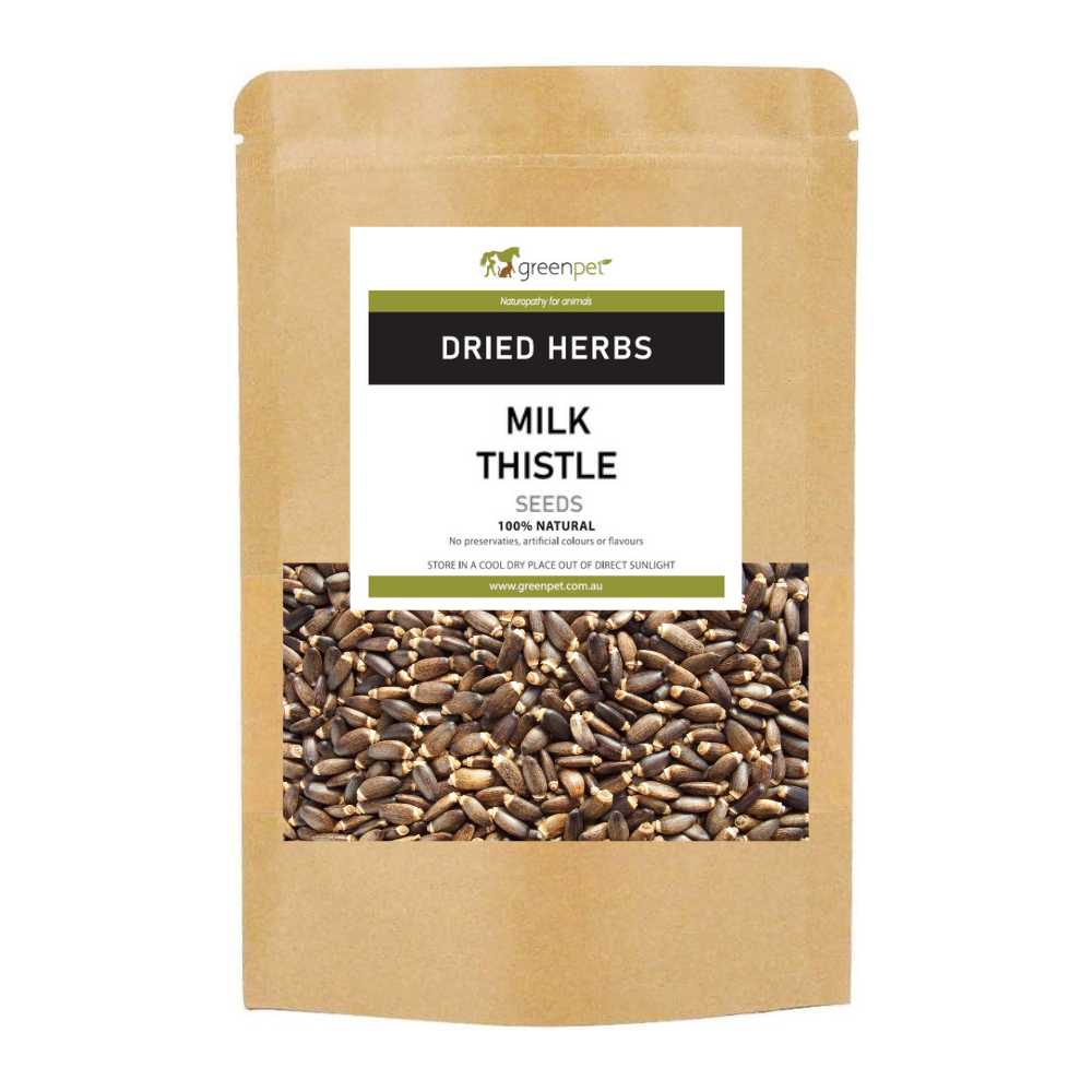 Milk Thistle (St Mary's Thistle) Seed