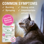 HomeoPet Feline UT+