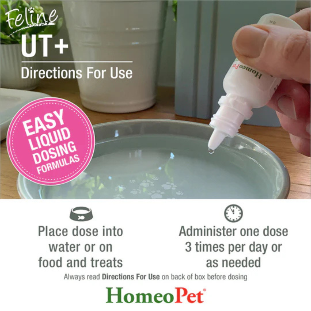HomeoPet Feline UT+