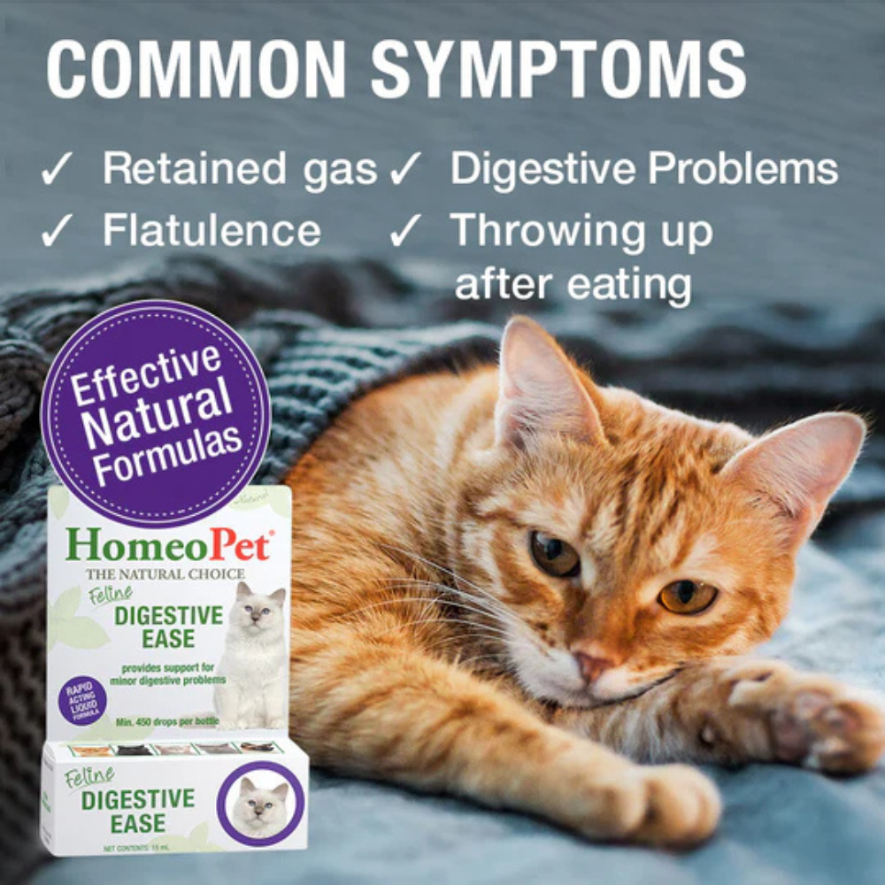 HomeoPet Feline Digestive Ease Upsets