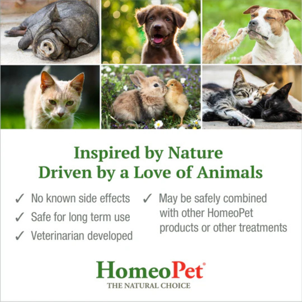 HomeoPet Feline Digestive Ease Upsets