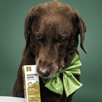 Natural Pet Supplements - Hypothyroid Support