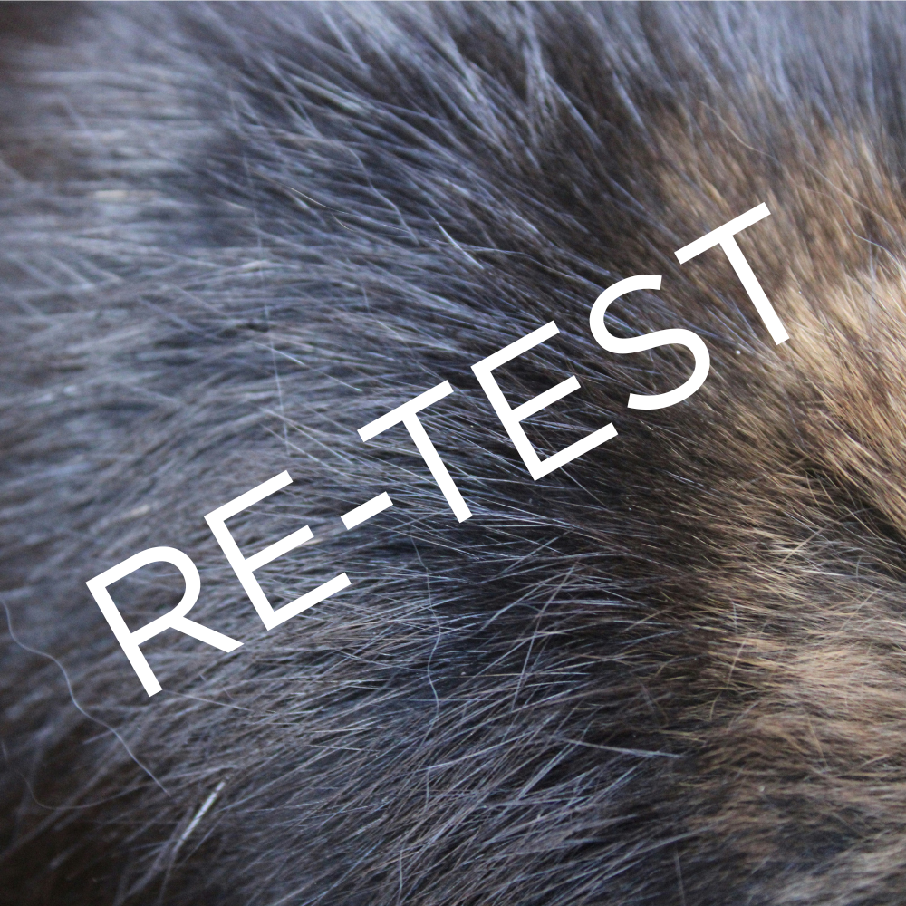 Bio Compatibility RE-TEST: Animals