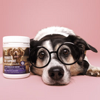 Natural Pet Supplements - Probiotic Gut Support