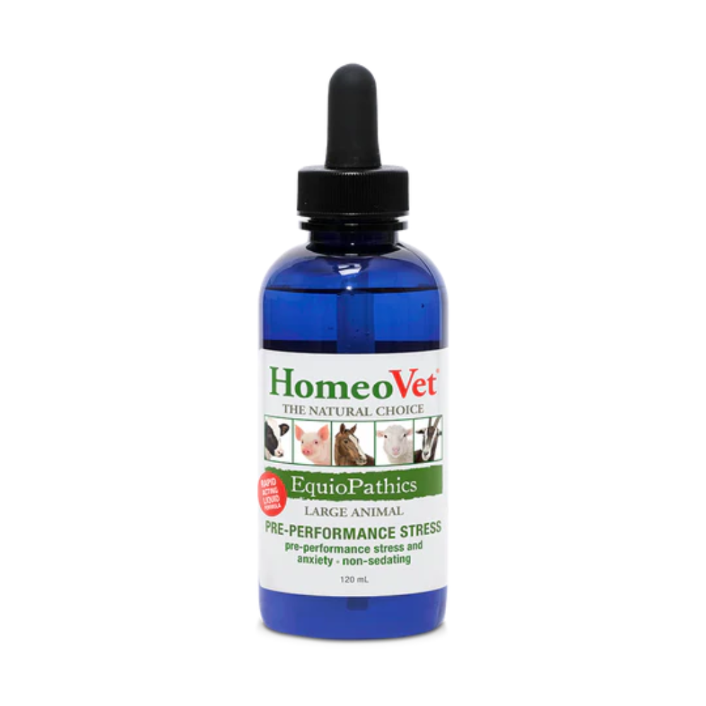 HomeoVet Equine Pre Performance Stress