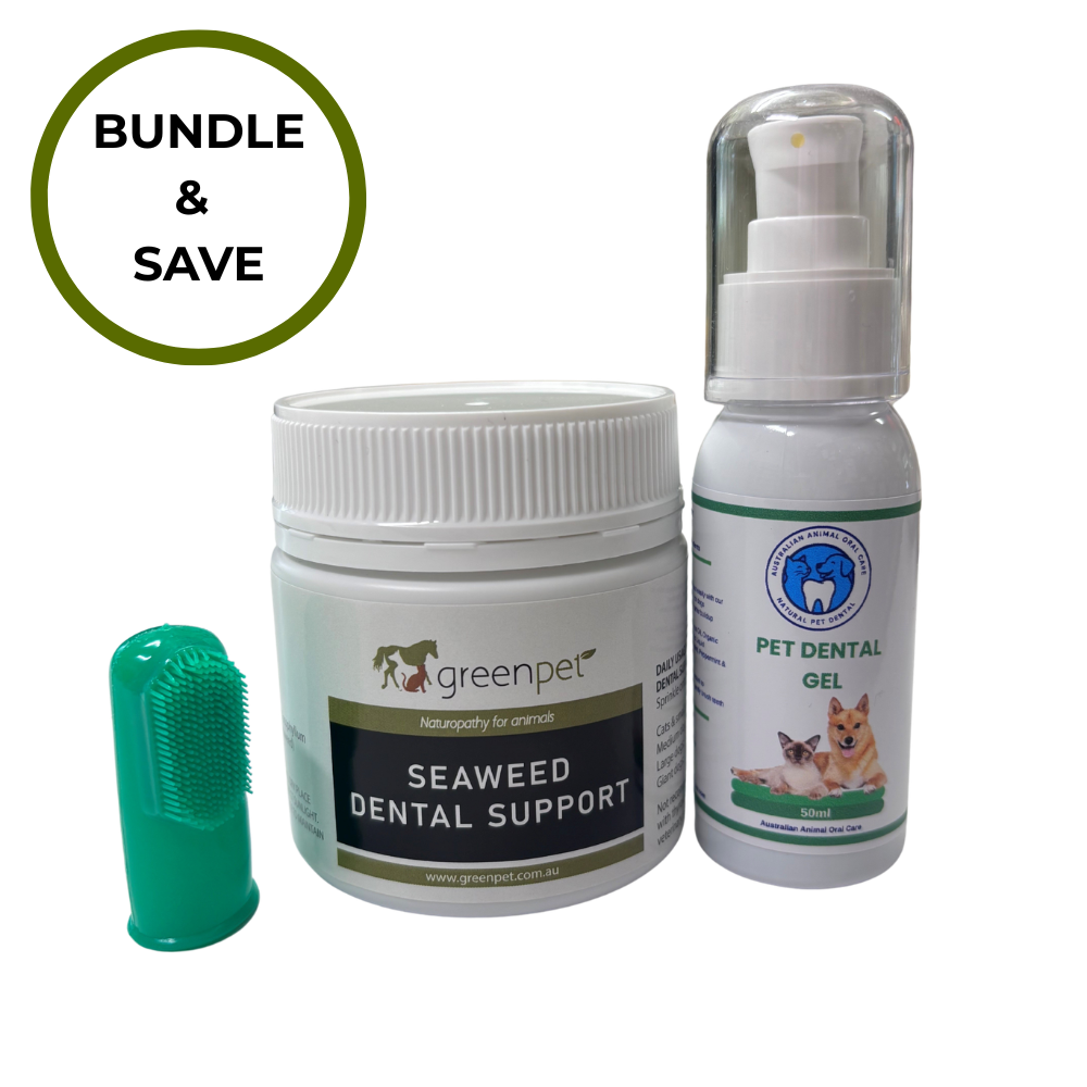 Canine Healthy Teeth Bundle