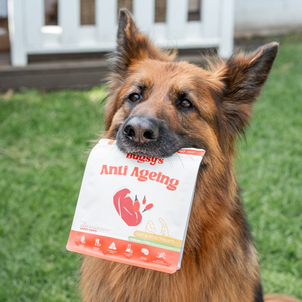 Bugsy's Anti Ageing | Beef & Goji Berry Snacks