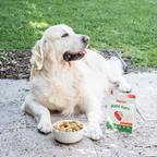 Bugsy's Joint Care | Beef & Turmeric Snacks