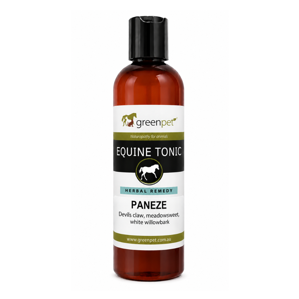 Herbal Equine PANEZE Support