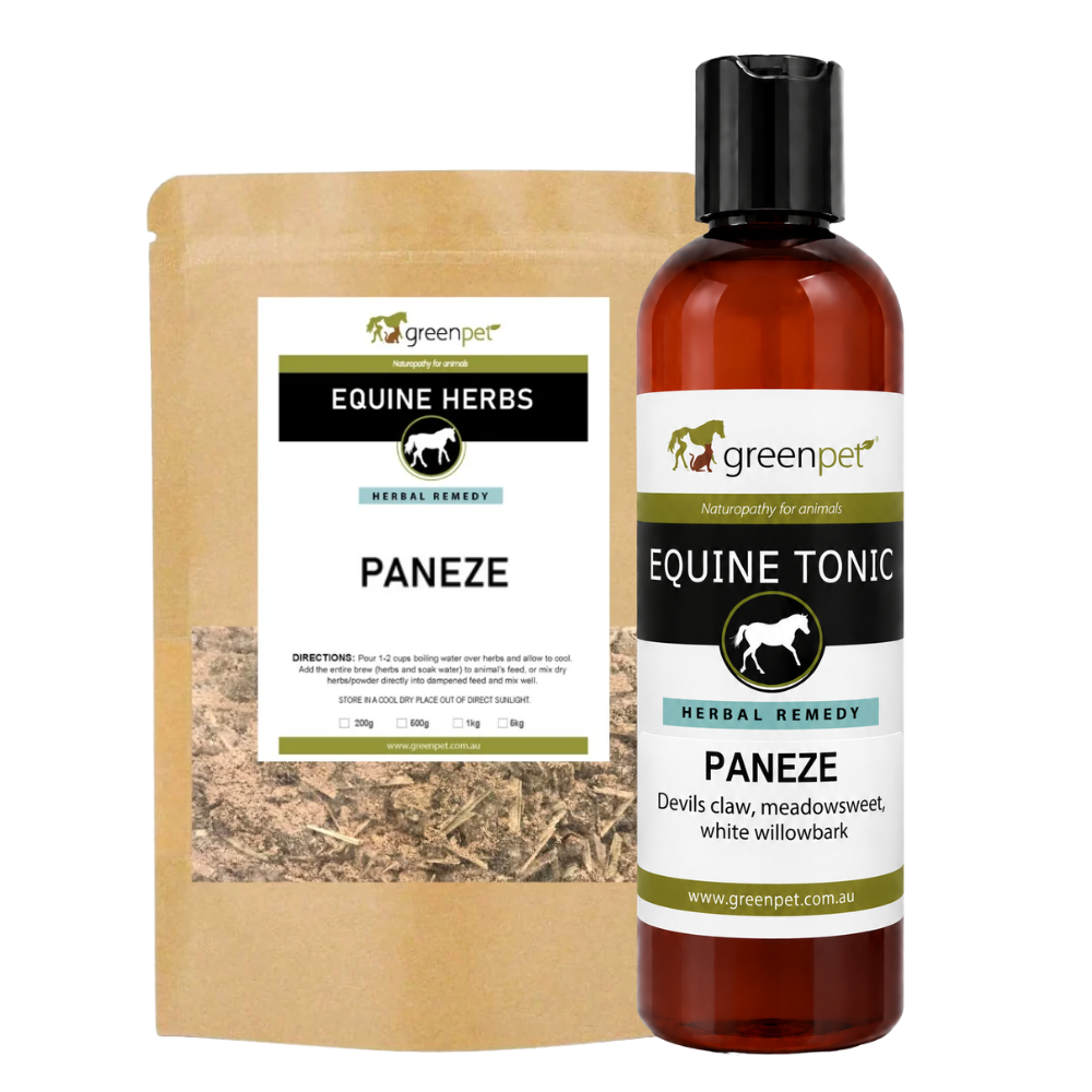 Herbal Equine PANEZE Support