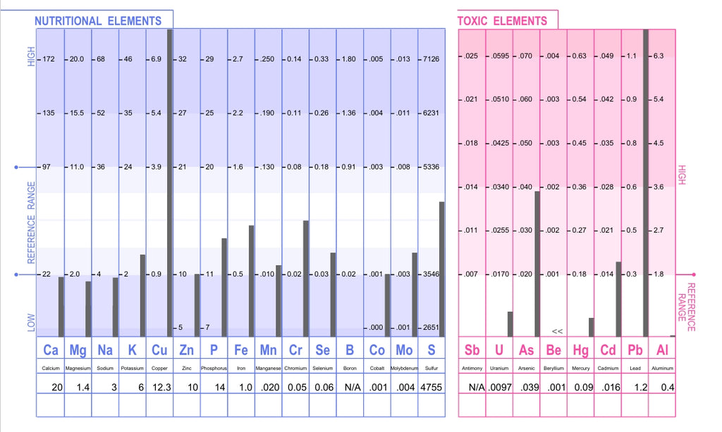 Hair Tissue Mineral Analysis: People