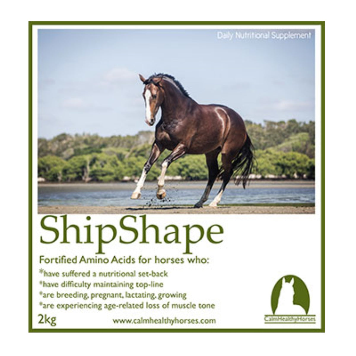 Calm Healthy Horses ShipShape