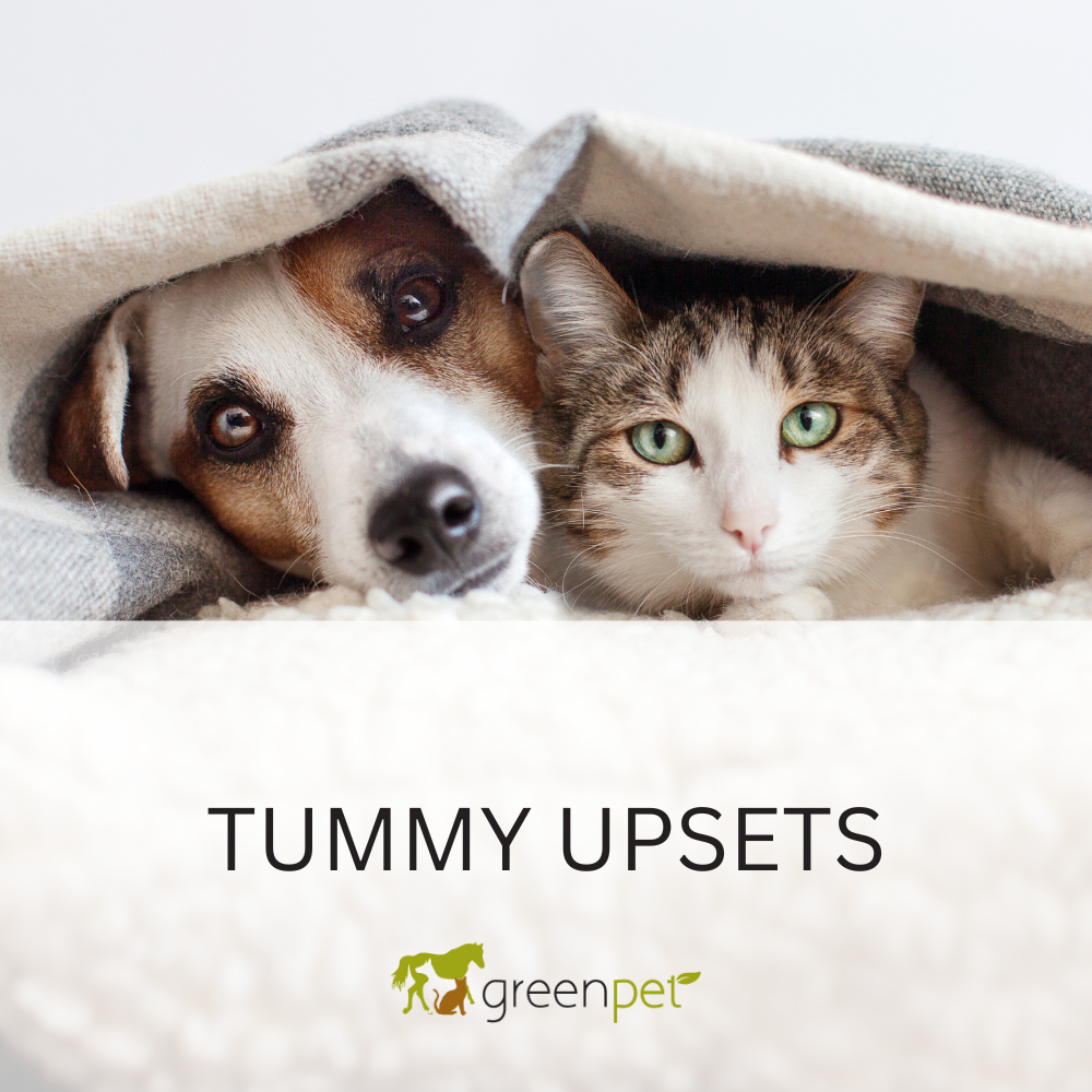 Tummy Upsets Support