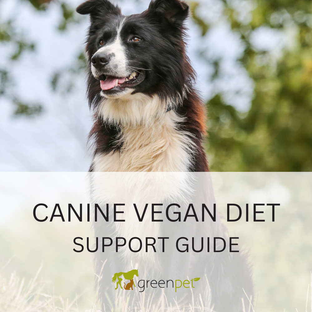 Canine Vegan Diet Support Guide