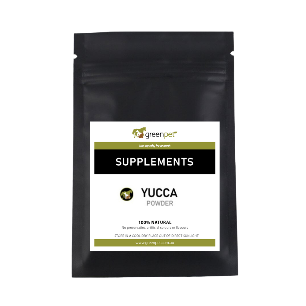 Yucca Powder