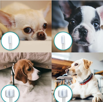 Mira-Pet Toothbrush Kit