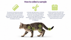Hair Mineral Analysis: Dogs, Cats & Horses